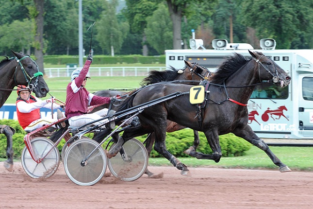 image Quinoa du Gers enlÃ¨ve le Prix de la Haye